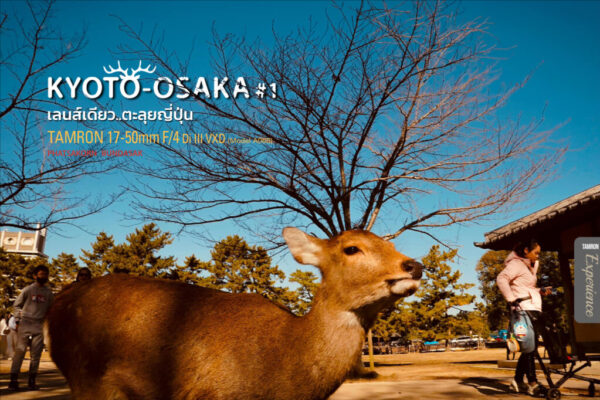 EXPERIENCE-KYOTO-OSAKA-1-01-1024×682